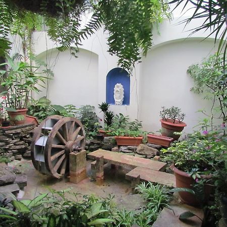 Hotel Villa Serena San Benito サンサルバドル エクステリア 写真